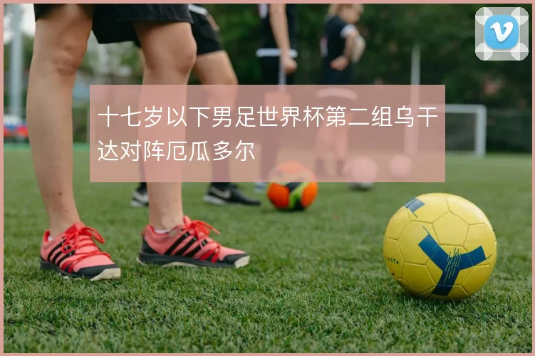 十七岁以下男足世界杯第二组乌干达对阵厄瓜多尔