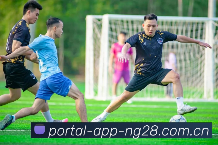 NG28APP 封面图